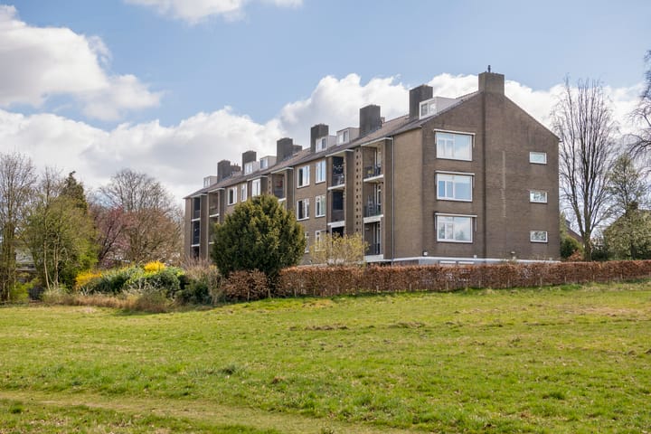 Photo 45 of Mesdaglaan 74-1