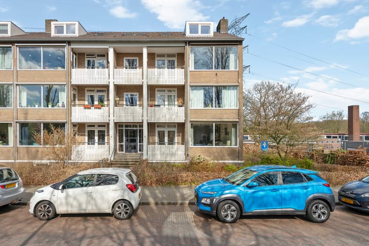 Photo 46 of Mesdaglaan 74-1