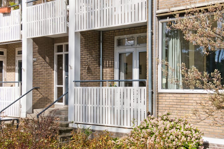 Photo 48 of Mesdaglaan 74-1