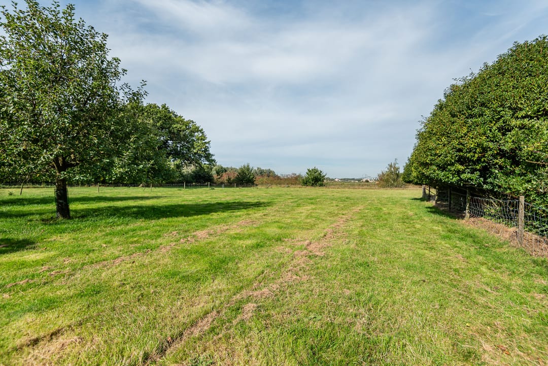 Foto 31 van Azewijnsestraat 7-A