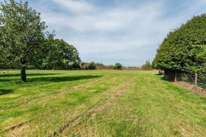 Foto 31 van Azewijnsestraat 7-A