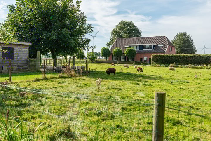 Foto 38 van Azewijnsestraat 7-A