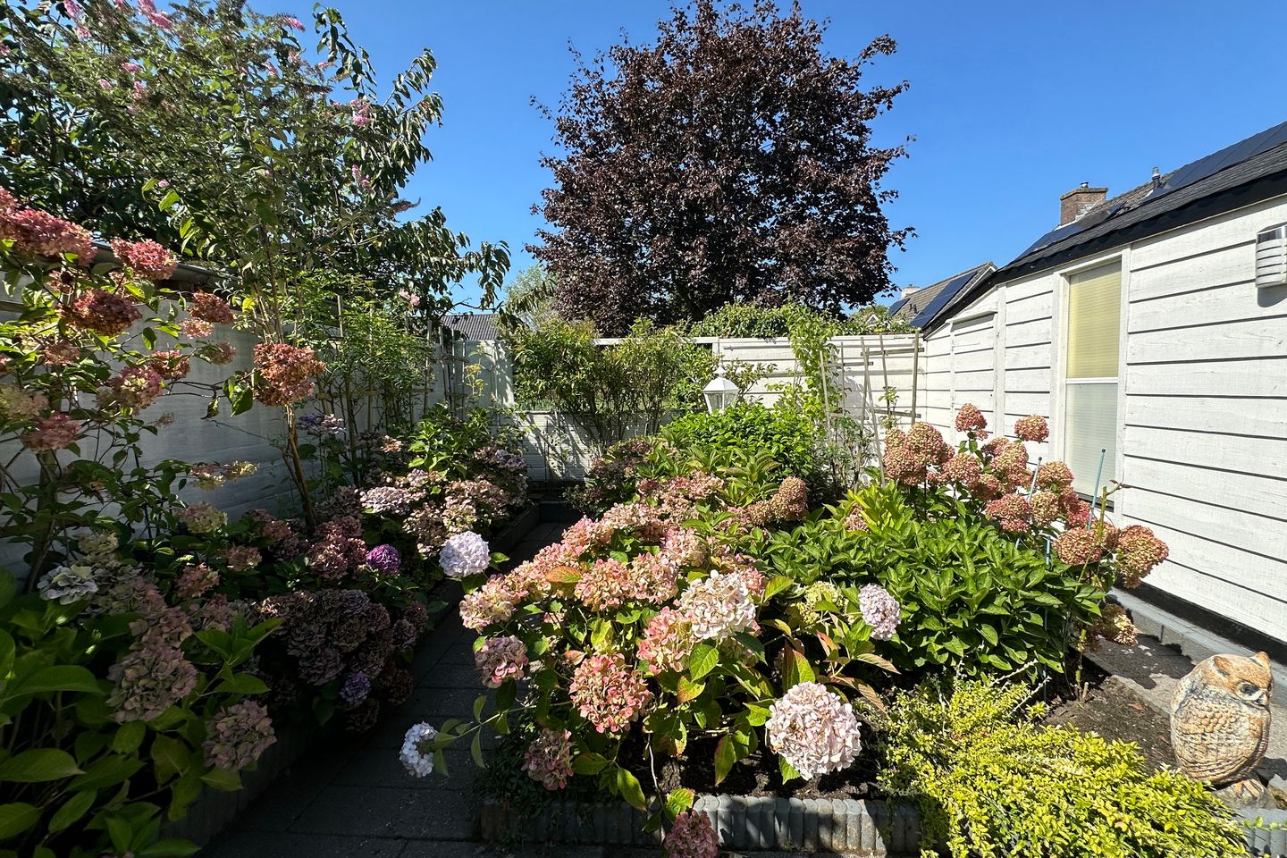 Foto 50 van Laan van Nieuwoord 75