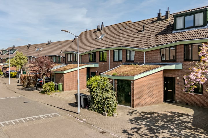 Rosa Spierstraat 24
