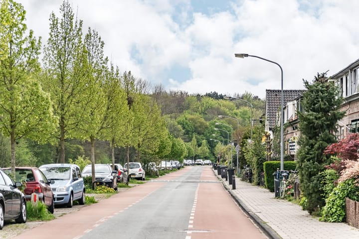 Foto 37 van Leidsevaart 74