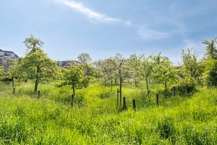 Foto 58 van Berkumshof 24