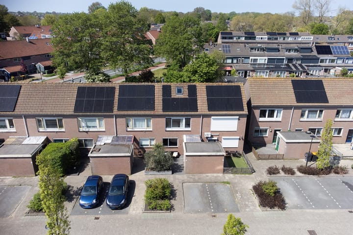 Foto 2 van Schelde 9