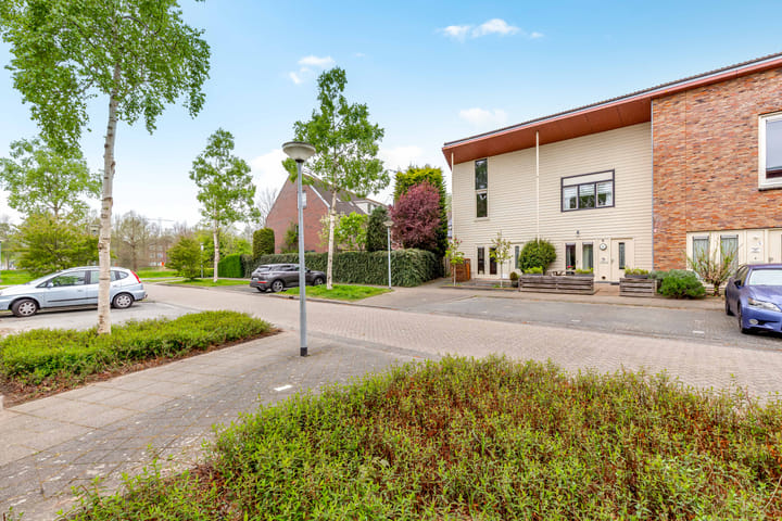 Foto 49 van Brancusistraat 3