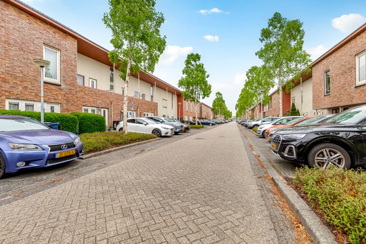 Foto 50 van Brancusistraat 3