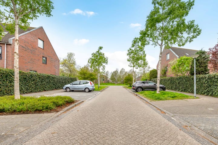 Foto 51 van Brancusistraat 3