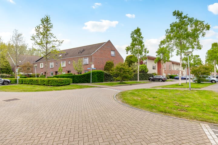 Foto 52 van Brancusistraat 3