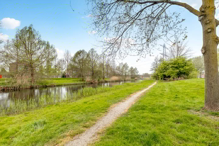 Foto 53 van Brancusistraat 3