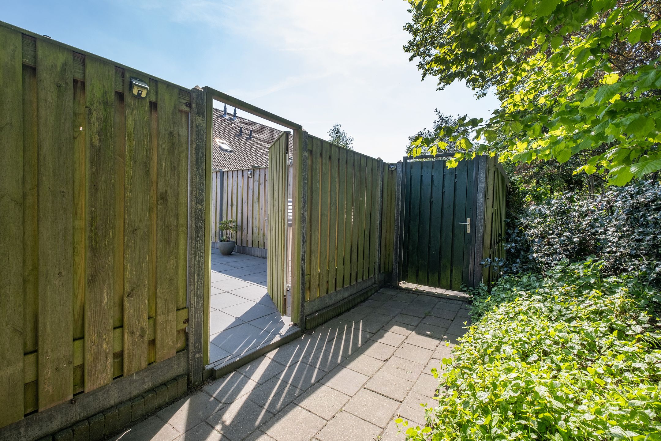 Photo 30 of Schelde 9