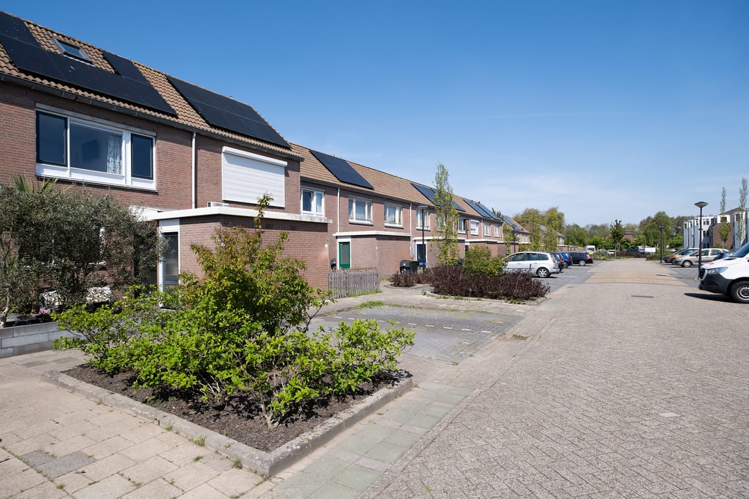 Photo 32 of Schelde 9