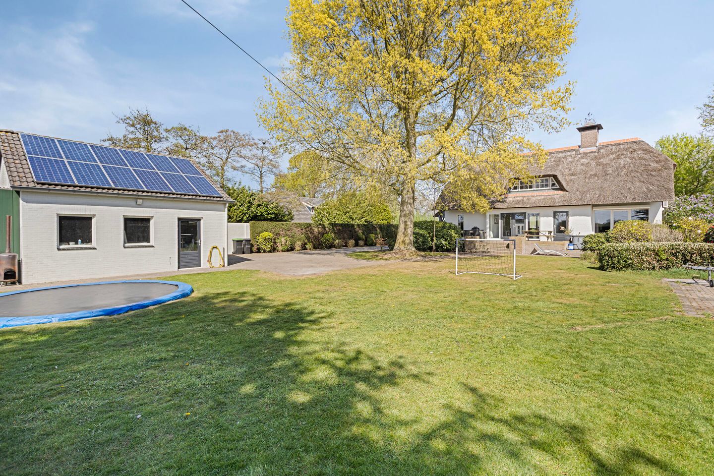 Photo 4 of Graspeel 42