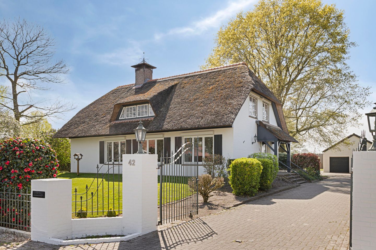 Photo 5 of Graspeel 42