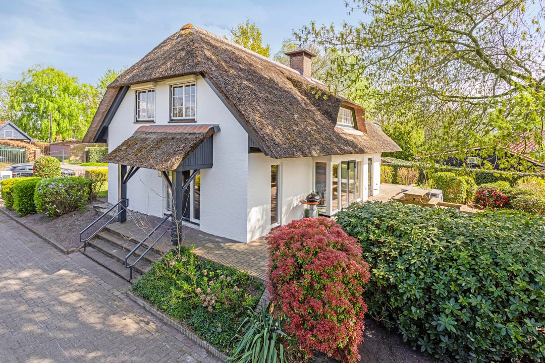 Photo 38 of Graspeel 42