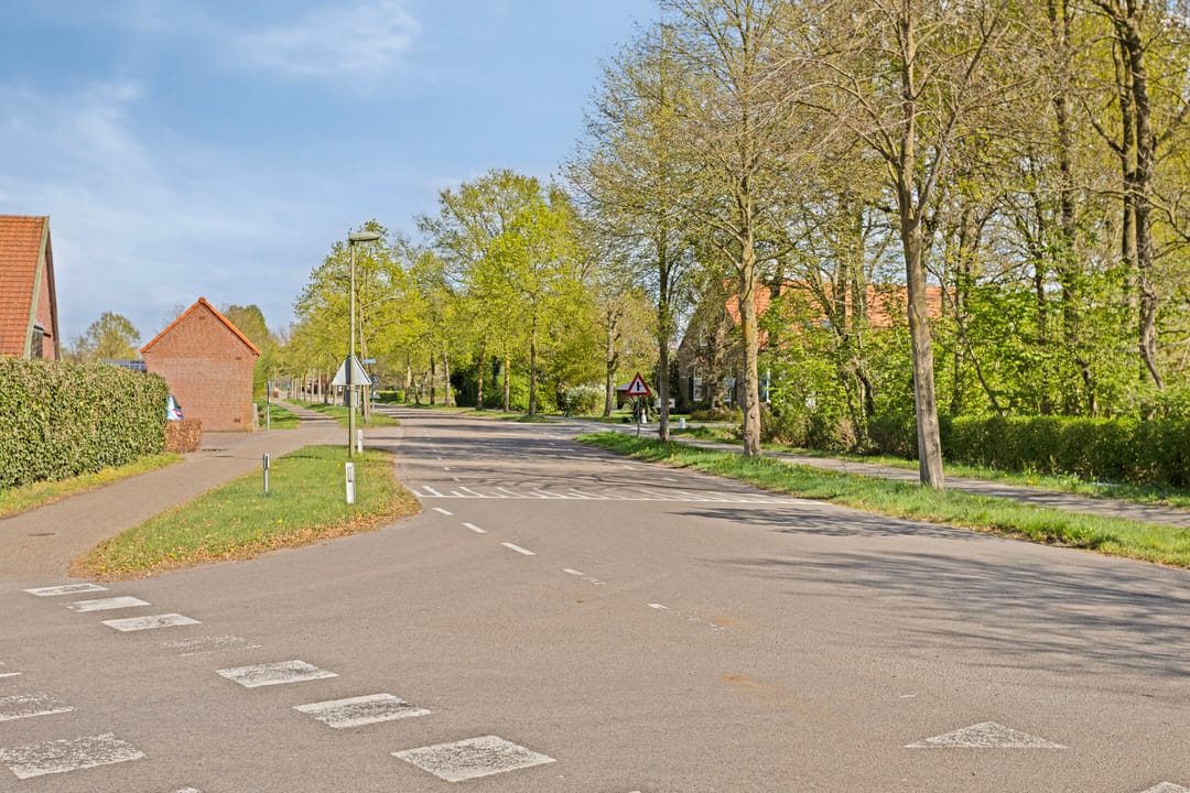 Photo 41 of Graspeel 42