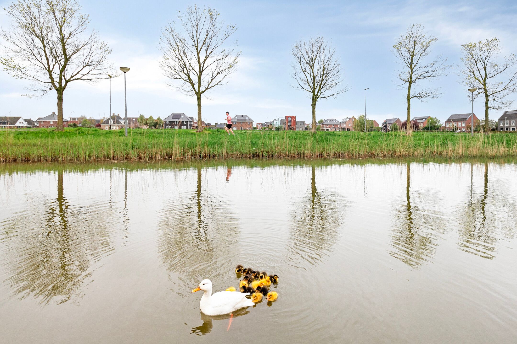 Photo 24 of Kromme Riet 9