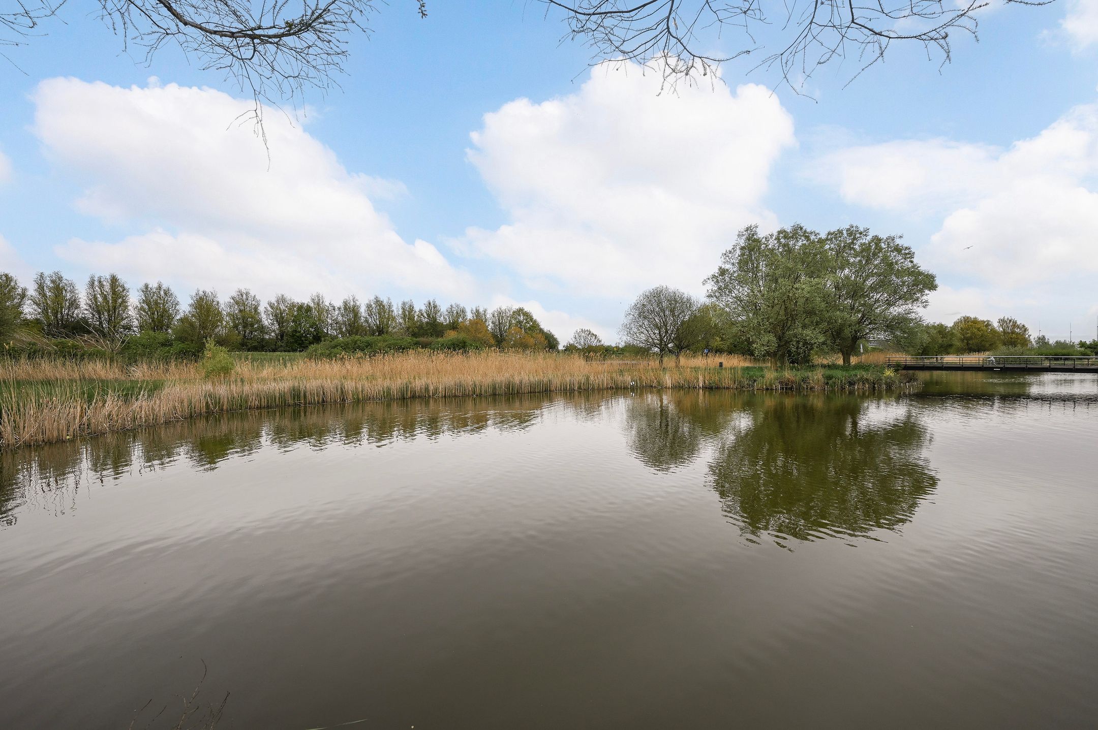 Foto 45 van Lisdoddestraat 68