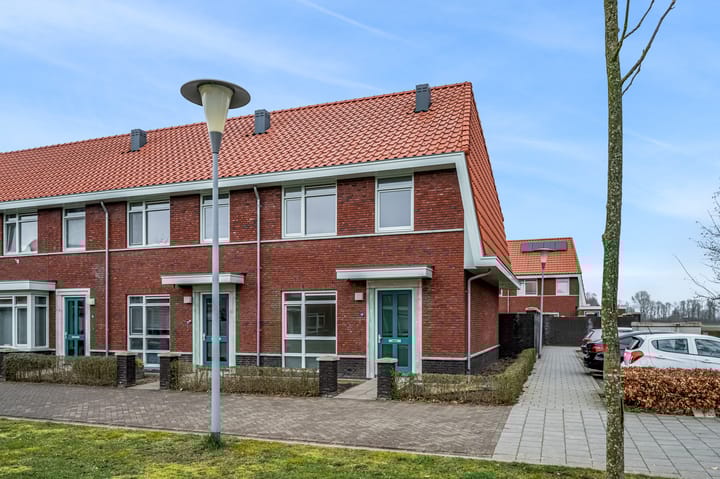 undefined main image