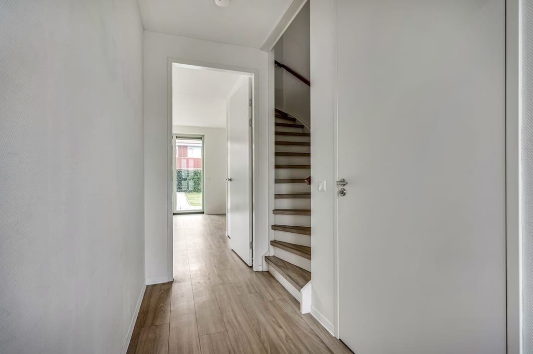 Foto 11 van Leeuw 19