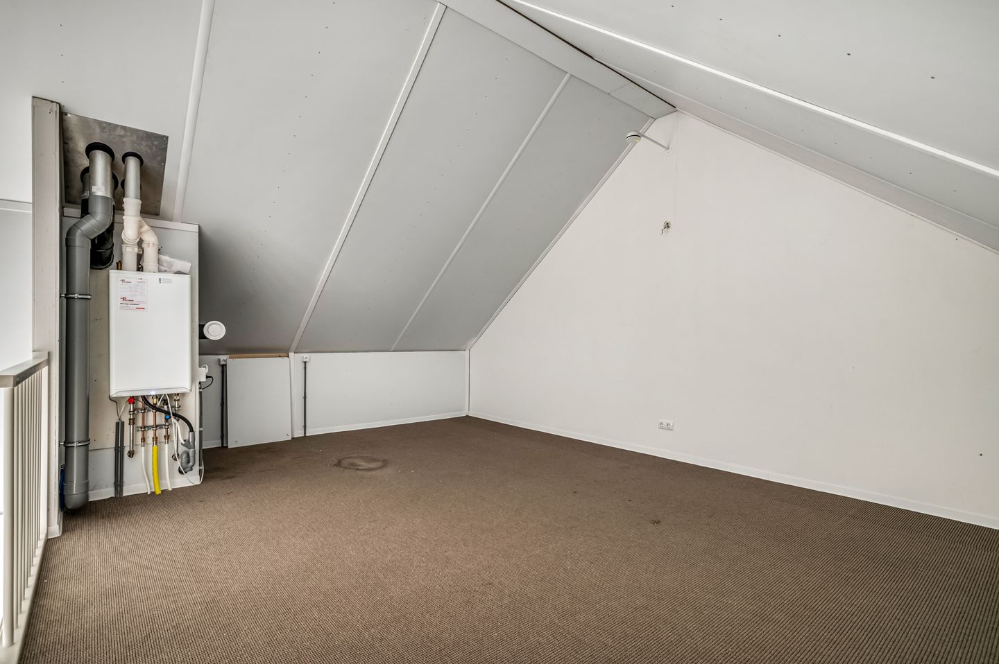 Foto 19 van Leeuw 19