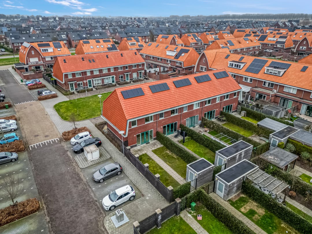 Foto 31 van Leeuw 19