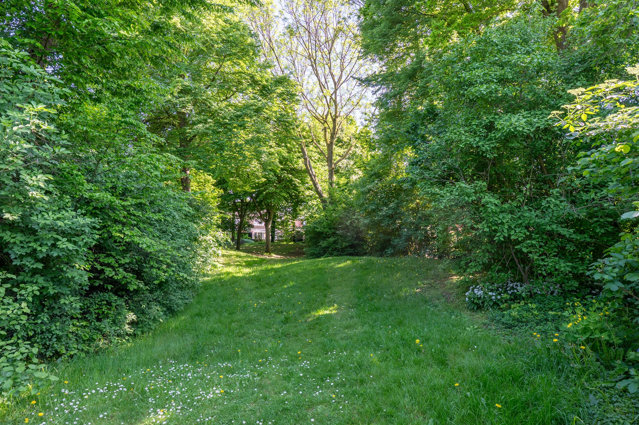 Foto 27 van Burg. Paulssenstraat 12