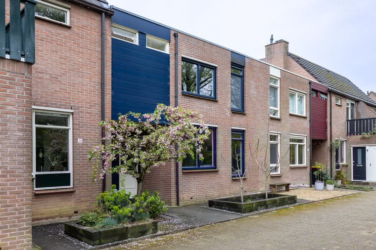 Wolborgenmate 36 main image