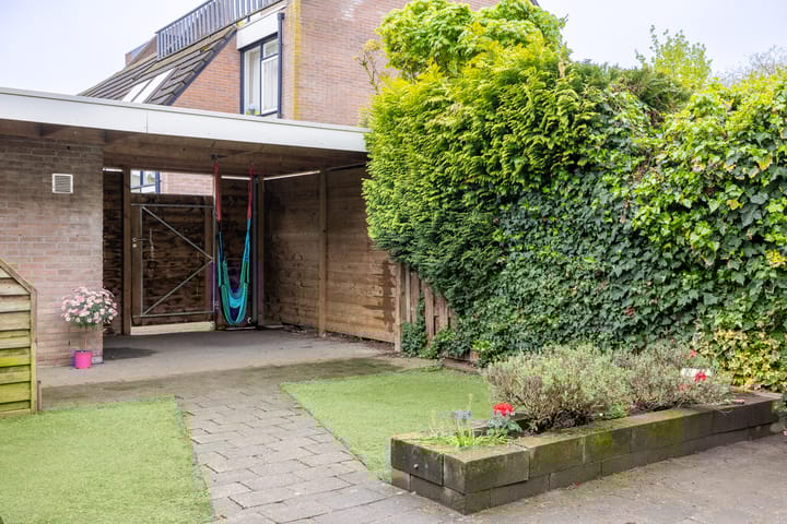 Foto 20 van Wolborgenmate 36