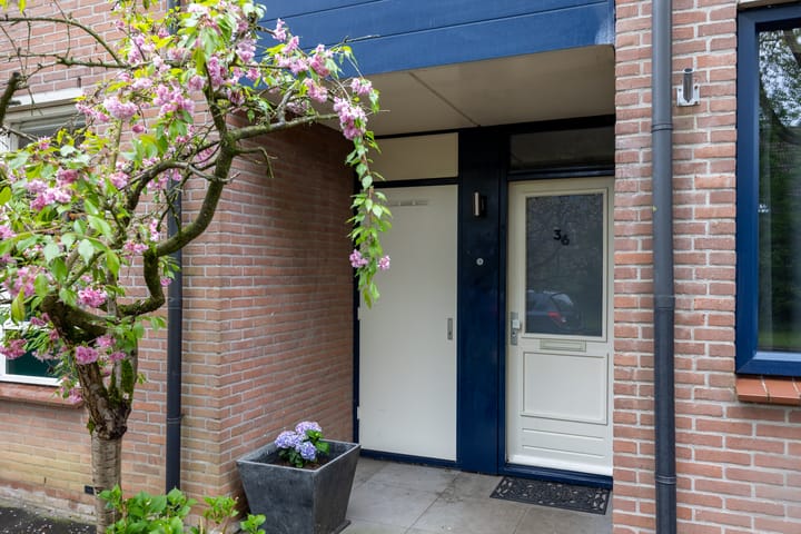 Foto 24 van Wolborgenmate 36