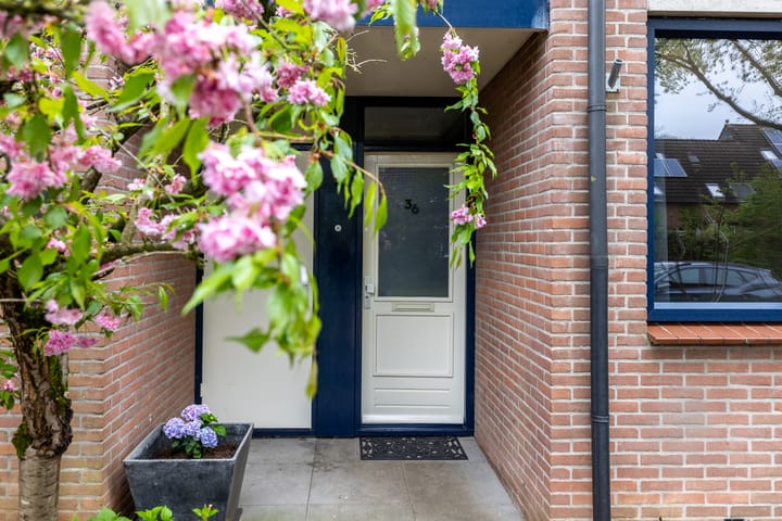 Foto 42 van Wolborgenmate 36