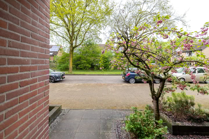 Foto 43 van Wolborgenmate 36