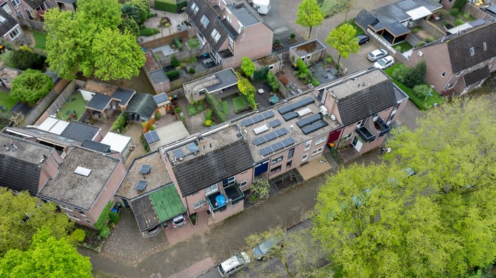 Foto 45 van Wolborgenmate 36