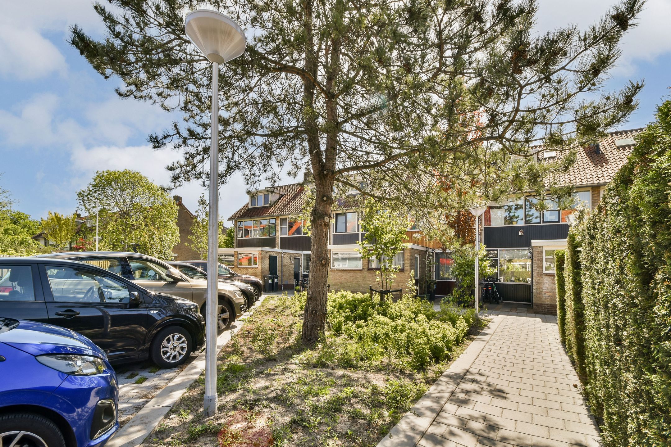 Foto 6 van Oranjeplantsoen 60