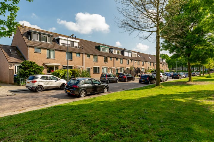 Foto 44 van Tormentil 10