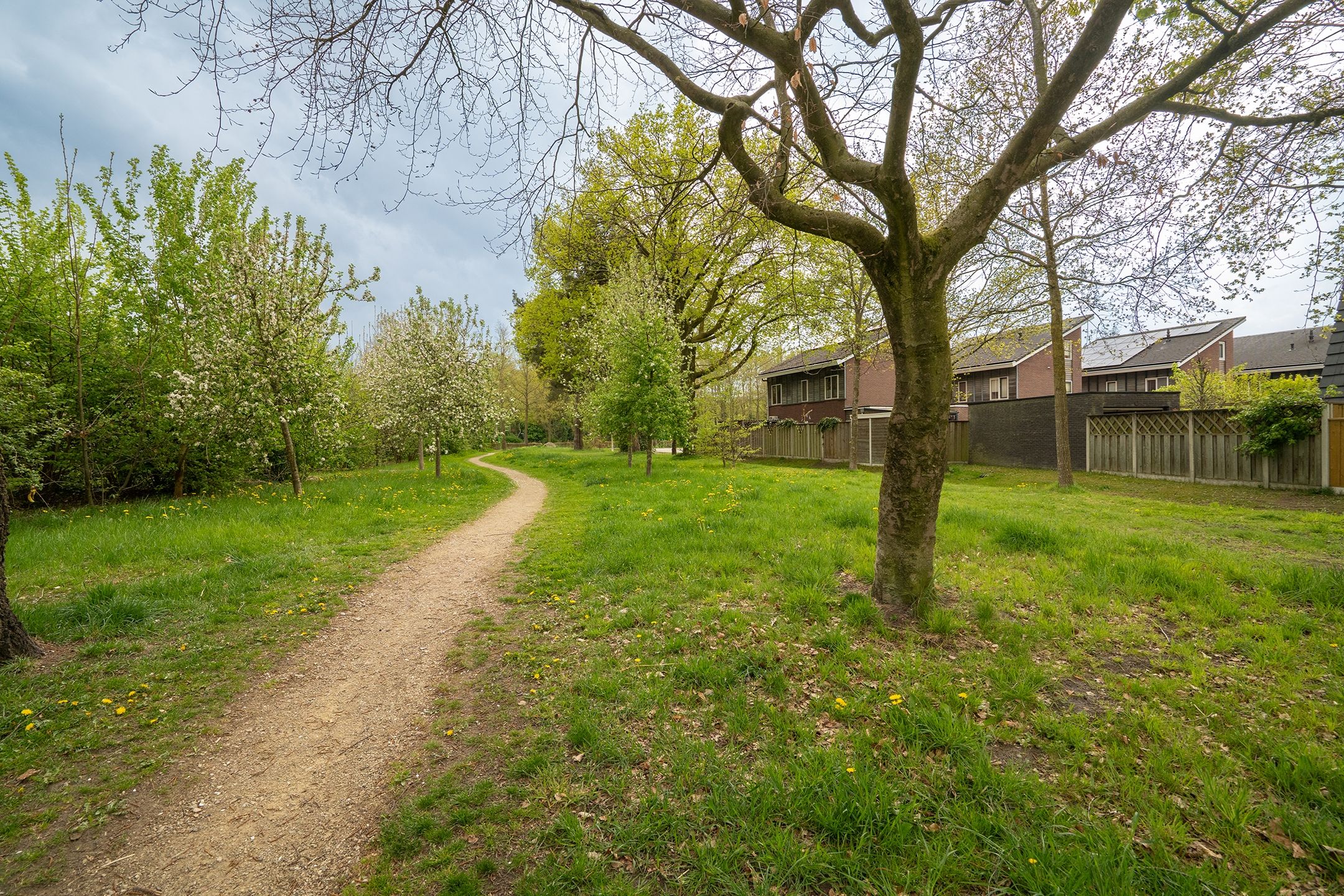 Foto 39 van Bitterzoetlaan 9