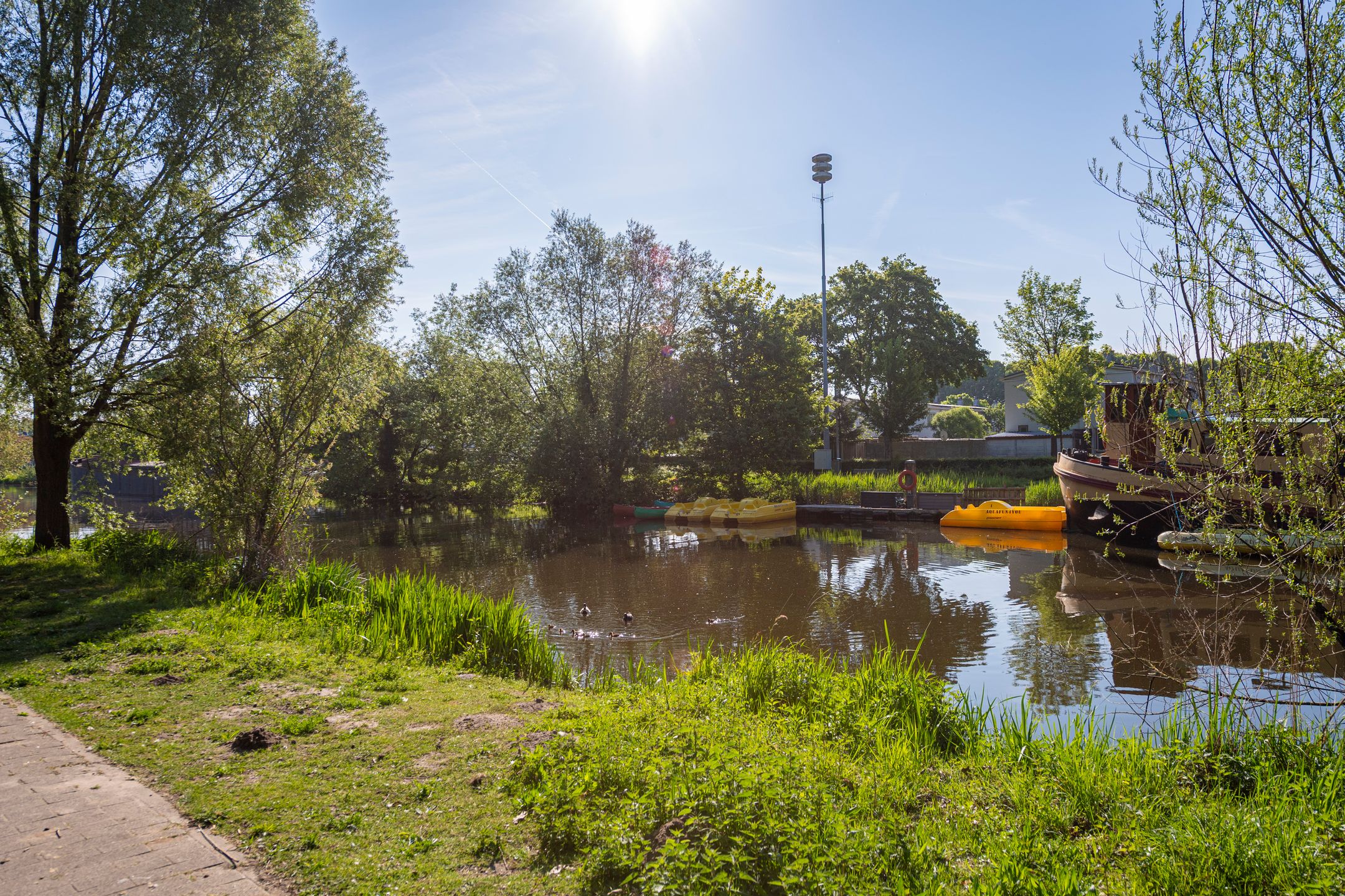 Foto 54 van De Werf 209