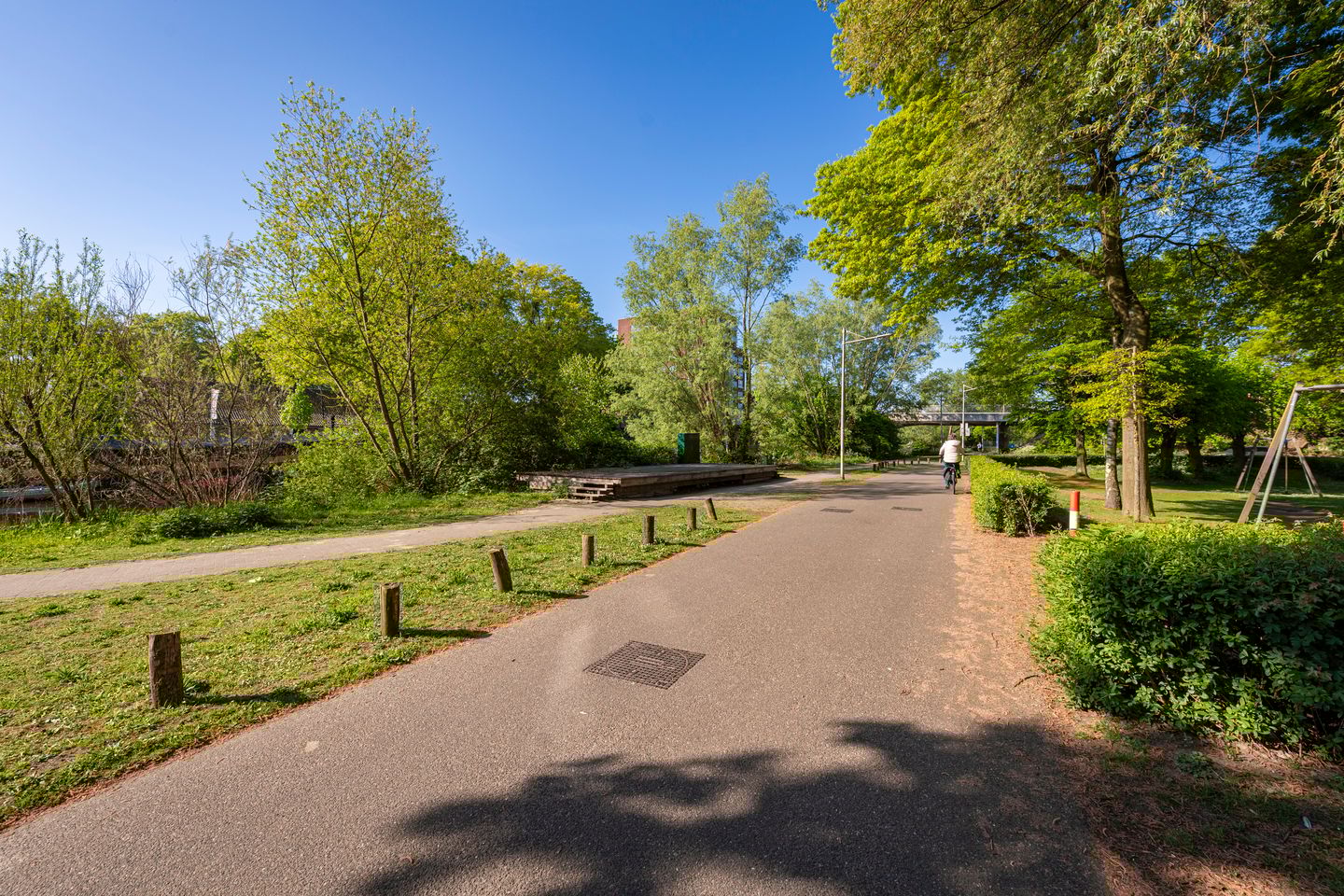 Foto 55 van De Werf 209