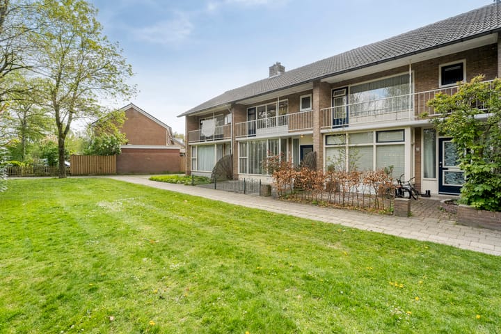 Foto 2 van David Krammerstraat 23