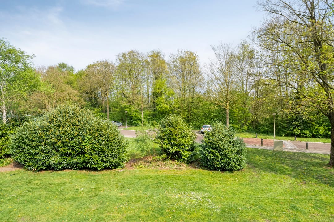 Photo 31 of David Krammerstraat 23