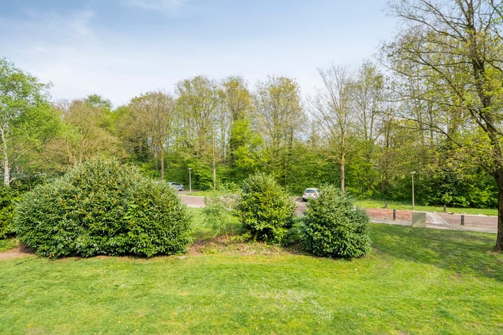 Foto 31 van David Krammerstraat 23