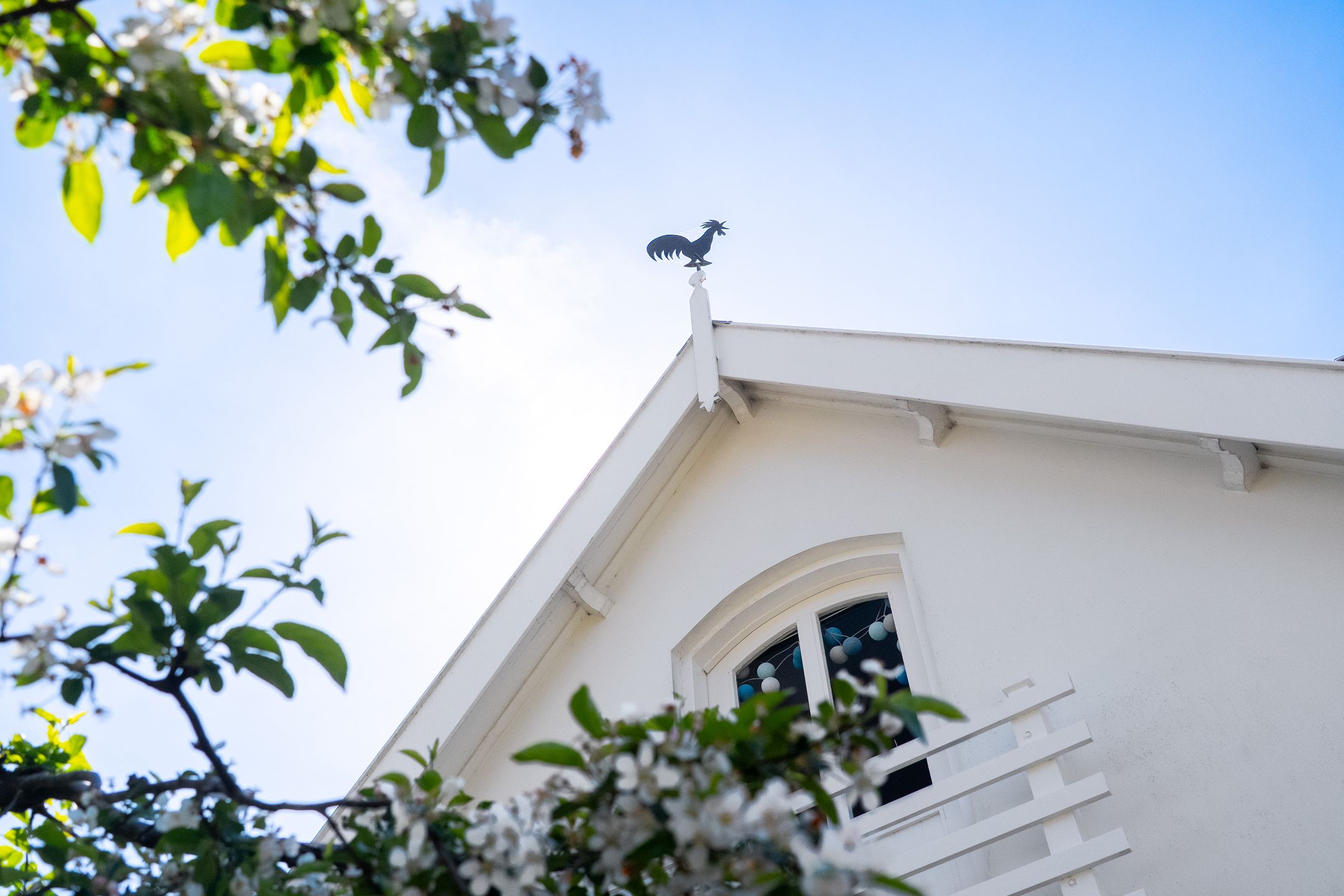 Foto 9 van Rijksstraatweg 293