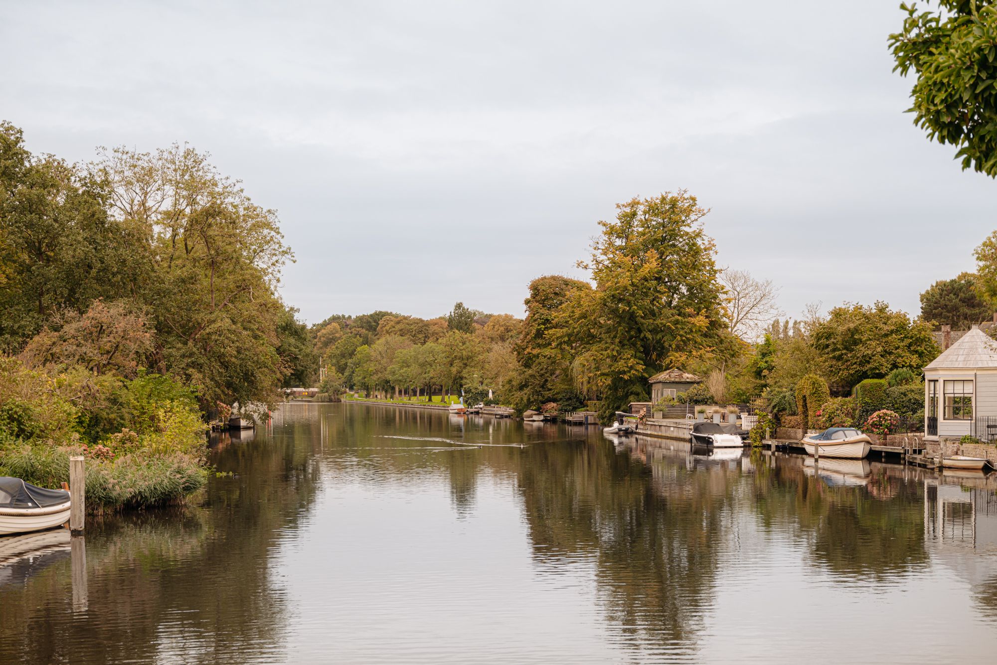 Photo 27 of Driehovenlaan 74