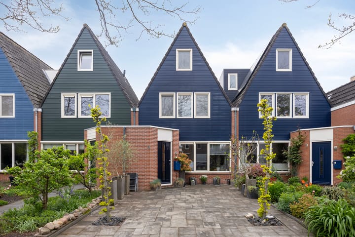 Foto 1 van Silene 81