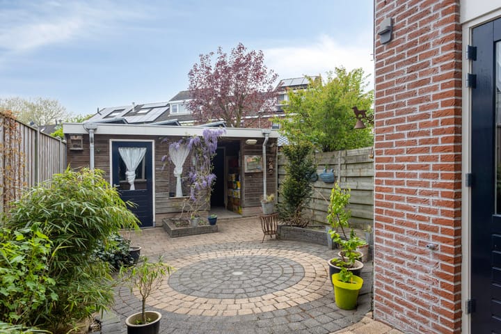 Foto 4 van Silene 81