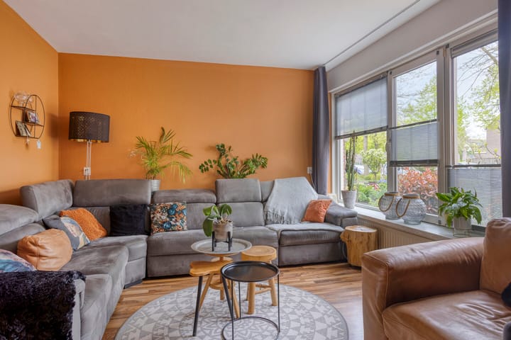 Foto 6 van Silene 81