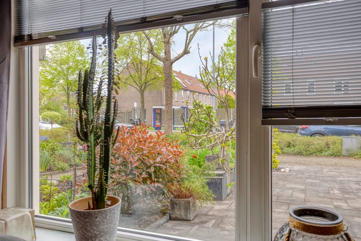 Foto 8 van Silene 81