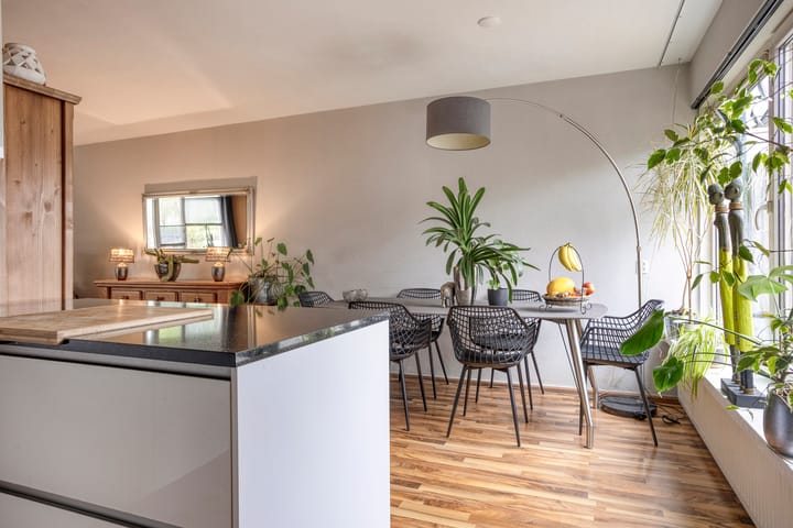 Foto 12 van Silene 81